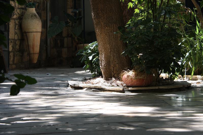 Pina Barosh Bnb Rosh Pinna Εξωτερικό φωτογραφία